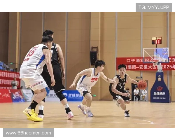 NBL比赛视频精彩回顾：感受篮球激情与技巧的碰撞